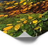 Landschaftlicher Birkenwald im Herbst Poster (Ecke)