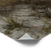 Landschaftlicher Boardwalk Florida Beach Naturfoto Poster (Ecke)