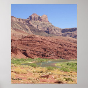 Landschaftlicher Colorado River bei Grand Canyon F Poster