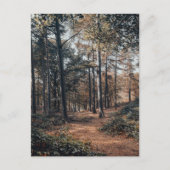 Landschaftlicher Entspannungswald Postkarte (Vorderseite)