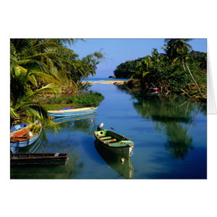 Landschaftlicher Fluss in der Nähe von Ocho Rios a