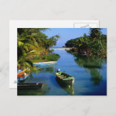 Landschaftlicher Fluss in der Nähe von Ocho Rios a Postkarte (Vorne/Hinten)