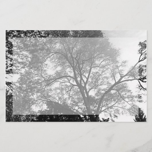 Landschaftlicher Flyer eines Ereignisses (Hinten)