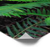 Landschaftlicher Grünwald Poster (Ecke)