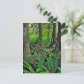 Landschaftlicher Grünwald Postkarte (Stehend Vorderseite)