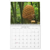 Landschaftlicher Hawaii-Kalender Kalender (Jan 2027)