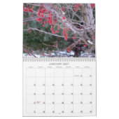 Landschaftlicher Horizont-Kalender, 2016 Kalender (Jan 2027)