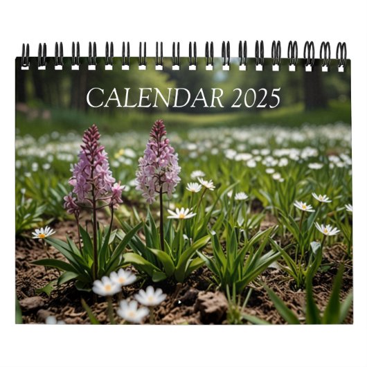 landschaftlicher Mauerkalender 2025 Kalender (Titelbild)