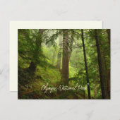 Landschaftlicher olympischer Nationalpark Rainfore Postkarte (Vorne/Hinten)