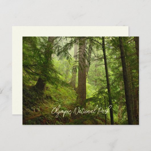 Landschaftlicher olympischer Nationalpark Rainfore Postkarte (Vorne/Hinten)