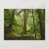 Landschaftlicher olympischer Nationalpark Rainfore Postkarte (Vorderseite)