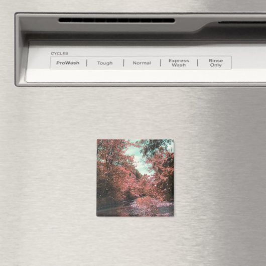 Landschaftlicher Pfad Magnet (In Situ (Geschirrspüler))