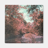 Landschaftlicher Pfad Magnet (Vorne)