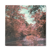 Landschaftlicher Pfad