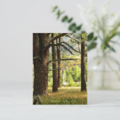 Landschaftlicher Pfad Postcatal Garner Valley, CA Postkarte (Stehend Vorderseite)