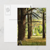 Landschaftlicher Pfad Postcatal Garner Valley, CA Postkarte (Vorne/Hinten)