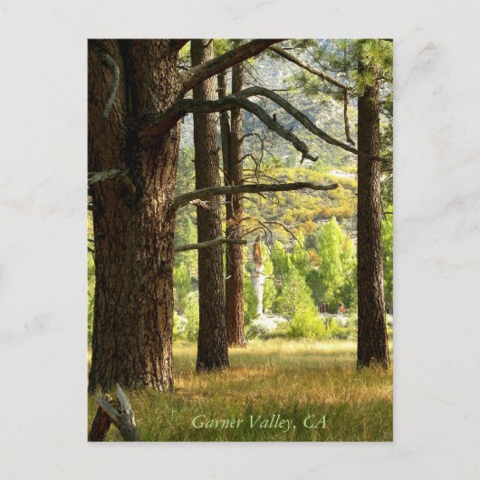 Landschaftlicher Pfad Postcatal Garner Valley, CA Postkarte (Vorderseite)
