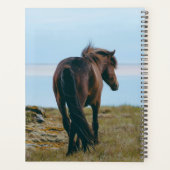 Landschaftlicher Pferdeplaner Planer (Rückseite)