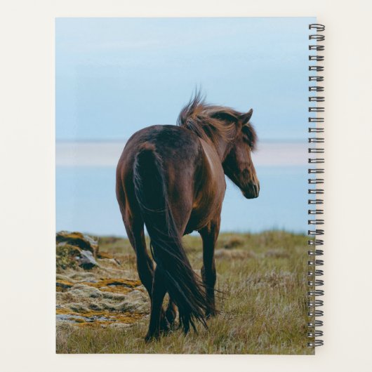 Landschaftlicher Pferdeplaner Planer (Rückseite)