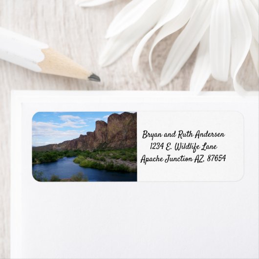 Landschaftlicher Saguaro (Insitu)