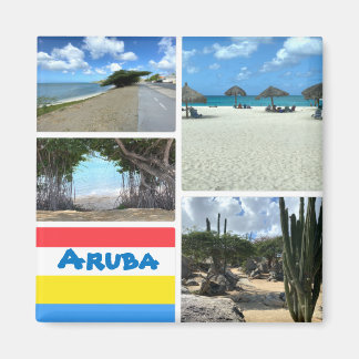 Landschaftlicher Strand und Wüste Aruba Magnet