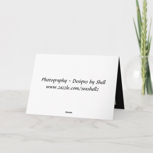 Landschaftlicher Wagenkarton Karte (Rückseite)