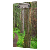 Landschaftlicher Wald Klemmbrett (Links)