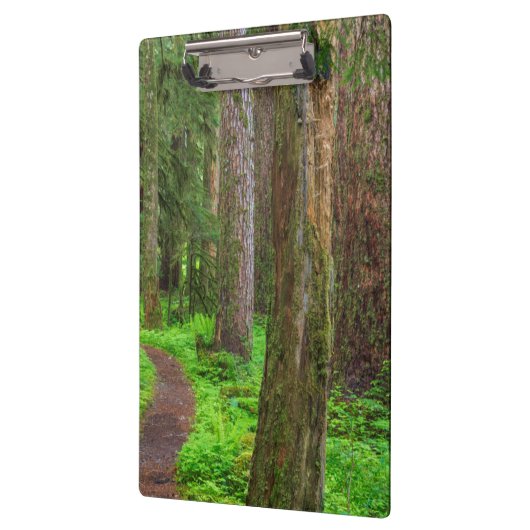 Landschaftlicher Wald Klemmbrett (Links)