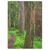 Landschaftlicher Wald Klemmbrett (Rückseite)