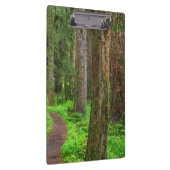 Landschaftlicher Wald Klemmbrett (Rechts)