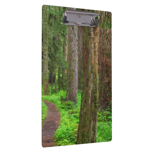 Landschaftlicher Wald Klemmbrett (Rechts)