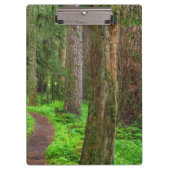 Landschaftlicher Wald Klemmbrett (Vorderseite)