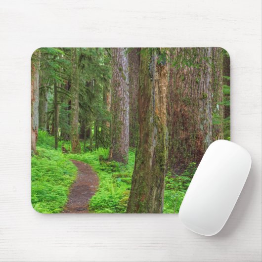 Landschaftlicher Wald Mousepad (Mit Mouse)