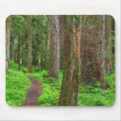 Landschaftlicher Wald Mousepad (Vorne)