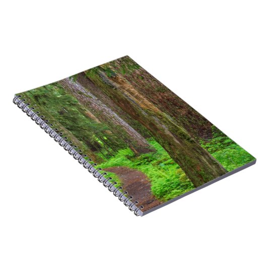 Landschaftlicher Wald Notizblock (Rechte Seite)