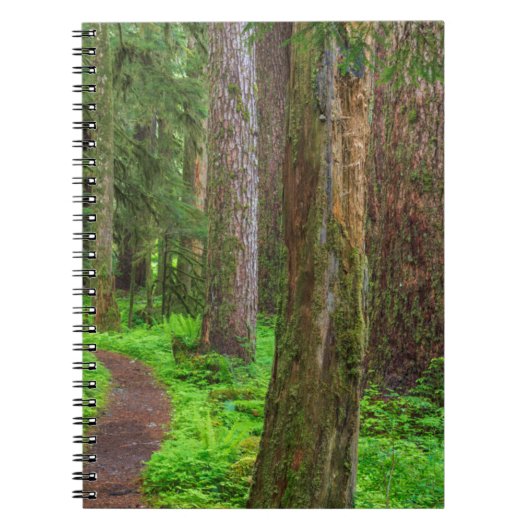 Landschaftlicher Wald Notizblock (Vorderseite)