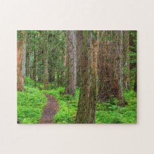 Landschaftlicher Wald Puzzle