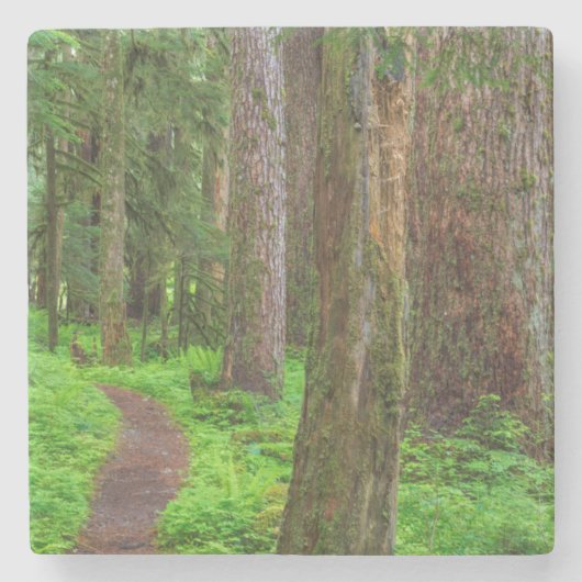 Landschaftlicher Wald Steinuntersetzer (Vorderseite)