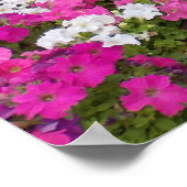 Landschaftlicher Weg Poster (Ecke)