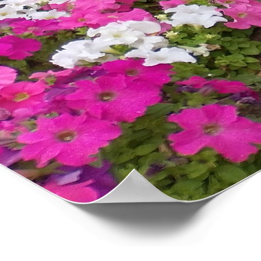 Landschaftlicher Weg Poster (Ecke)