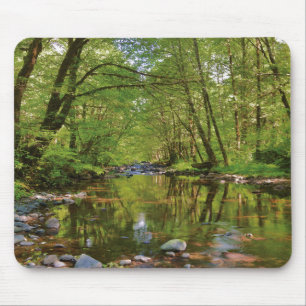 Landschaftlicher Wilson-Fluss Mousepad
