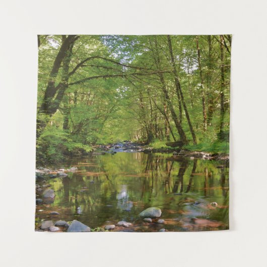 Landschaftlicher Wilson-Fluss Wandteppich (Vorderseite)