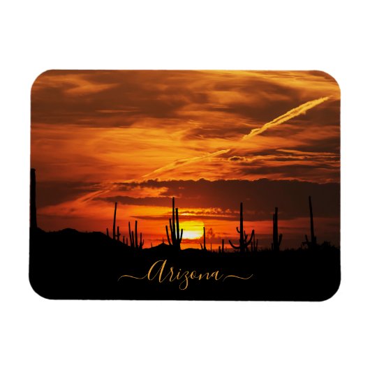 Landschaftliches Arizona Saguaros bei Sonnenunterg Magnet (Horizontal)