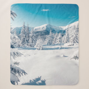 Landschaftliches Bild von Fichten. Frostiger Tag,  Sherpadecke