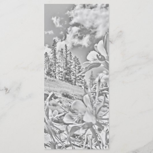 Landschaftliches Blume-Programm für benutzerdefini Programm (Rückseite)