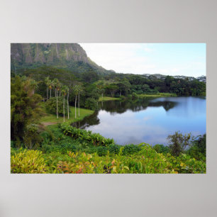 Landschaftliches Hawaiian View Poster
