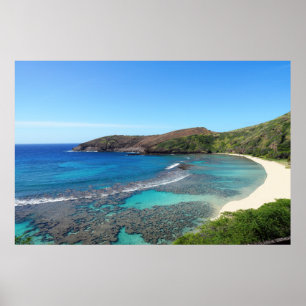 Landschaftliches hawaiianisches Küstenansicht-Post Poster
