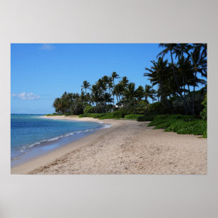 Landschaftliches hawaiianisches Küstenansicht-Post Poster