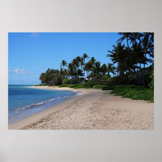 Landschaftliches hawaiianisches Küstenansicht-Post Poster (Vorne)