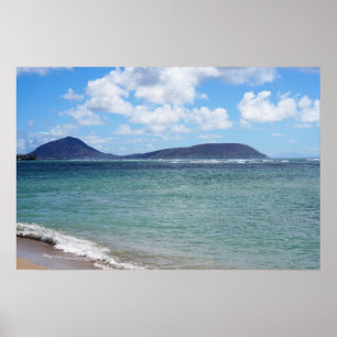 Landschaftliches hawaiianisches Küstenansicht-Post Poster